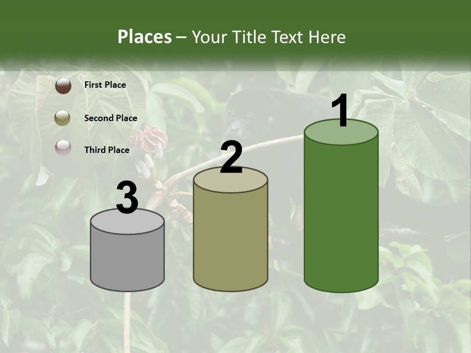 Tail Neotropics Mammal PowerPoint Template