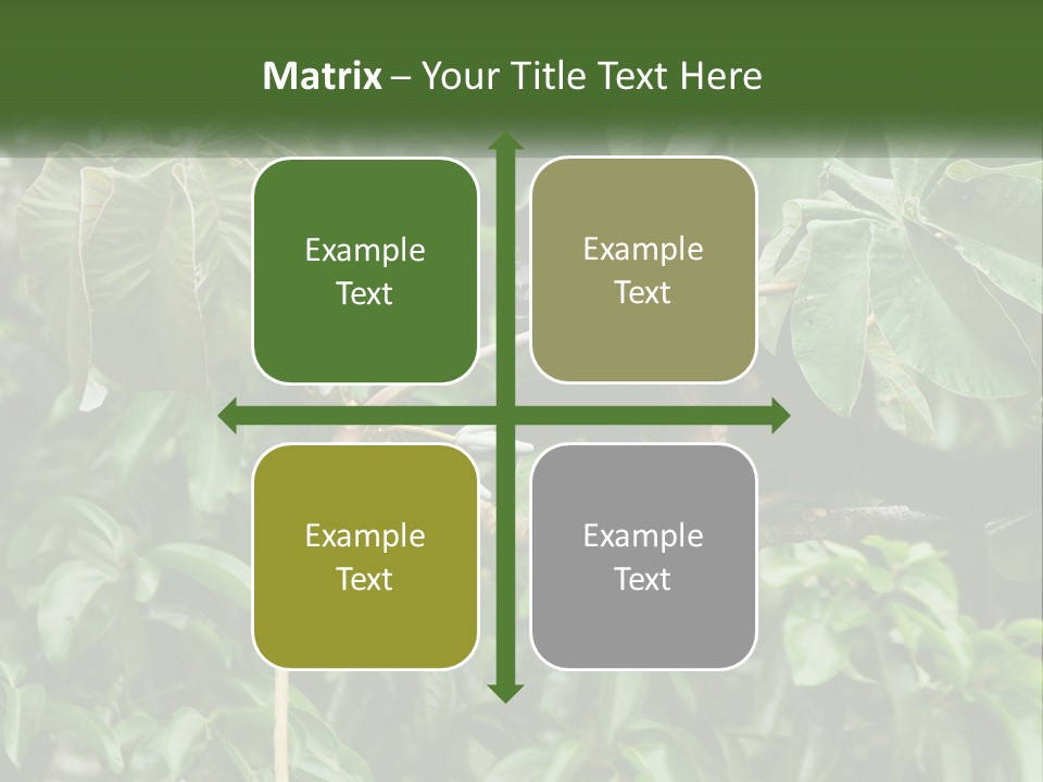 Tail Neotropics Mammal PowerPoint Template