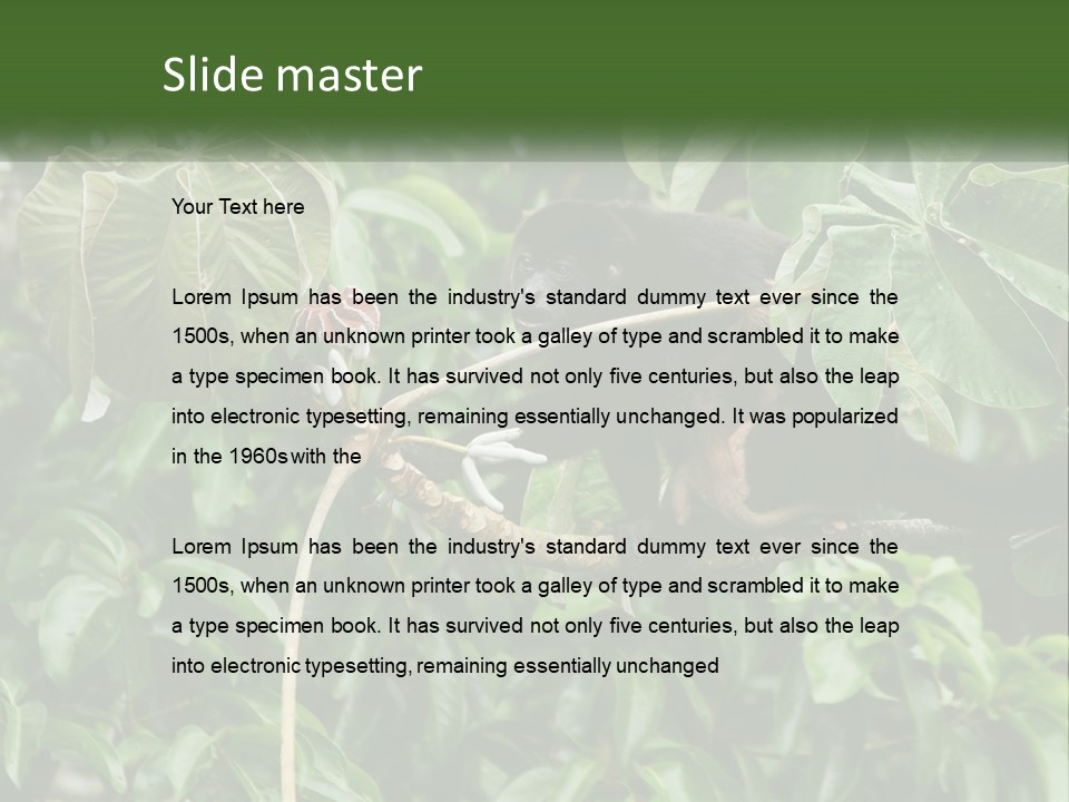 Tail Neotropics Mammal PowerPoint Template