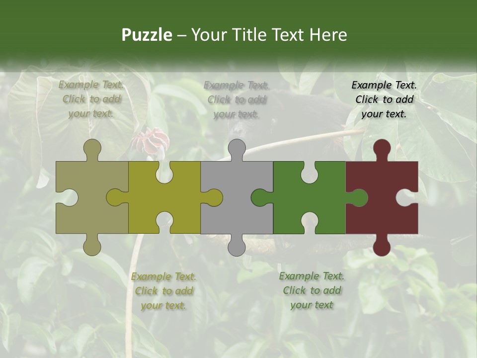 Tail Neotropics Mammal PowerPoint Template