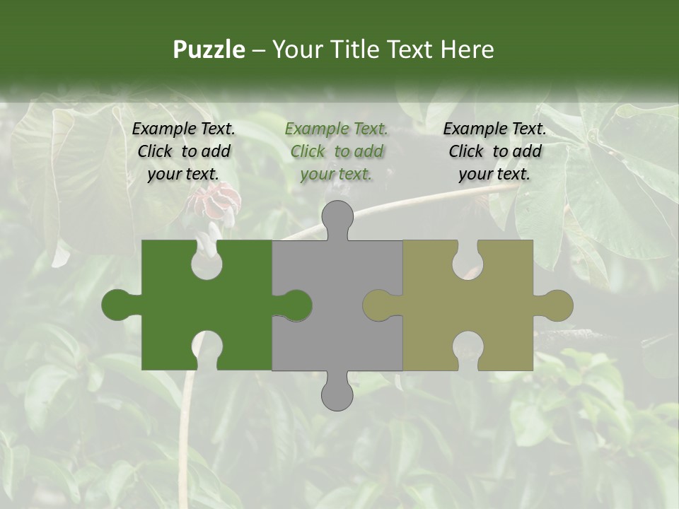 Tail Neotropics Mammal PowerPoint Template