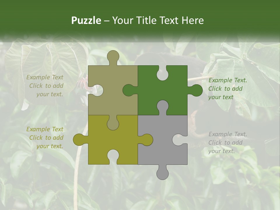 Tail Neotropics Mammal PowerPoint Template