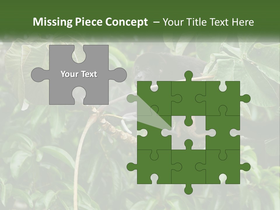 Tail Neotropics Mammal PowerPoint Template