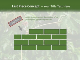 Tail Neotropics Mammal PowerPoint Template