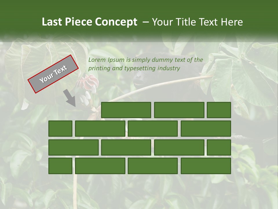 Tail Neotropics Mammal PowerPoint Template