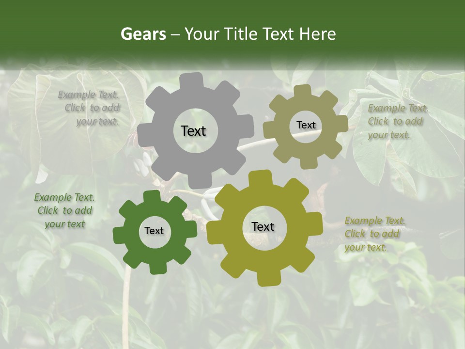 Tail Neotropics Mammal PowerPoint Template