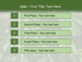 Tail Neotropics Mammal PowerPoint Template