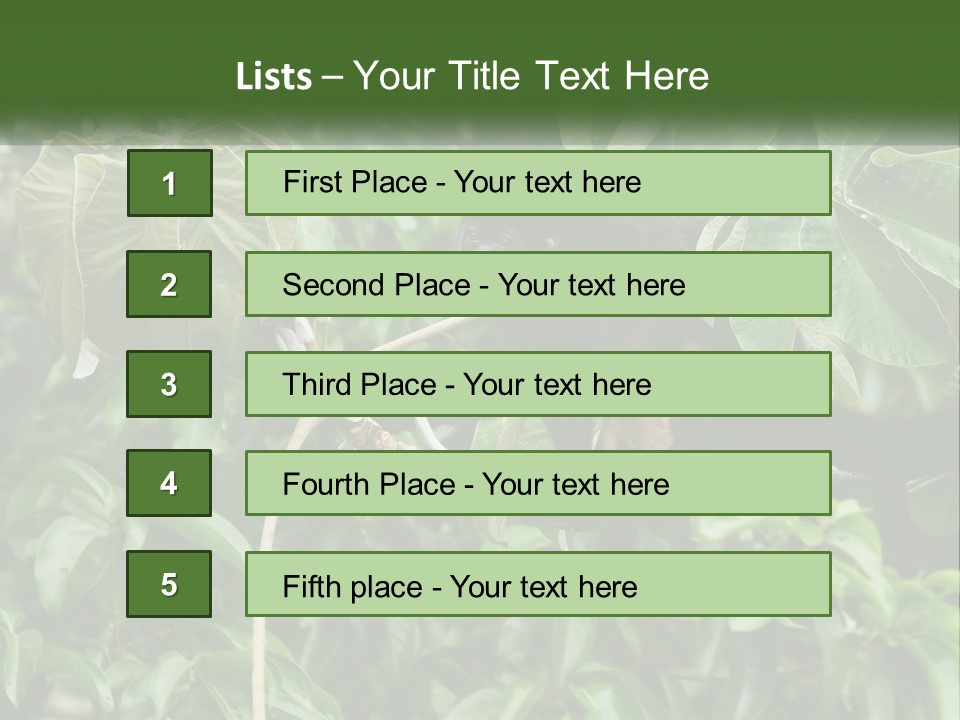 Tail Neotropics Mammal PowerPoint Template