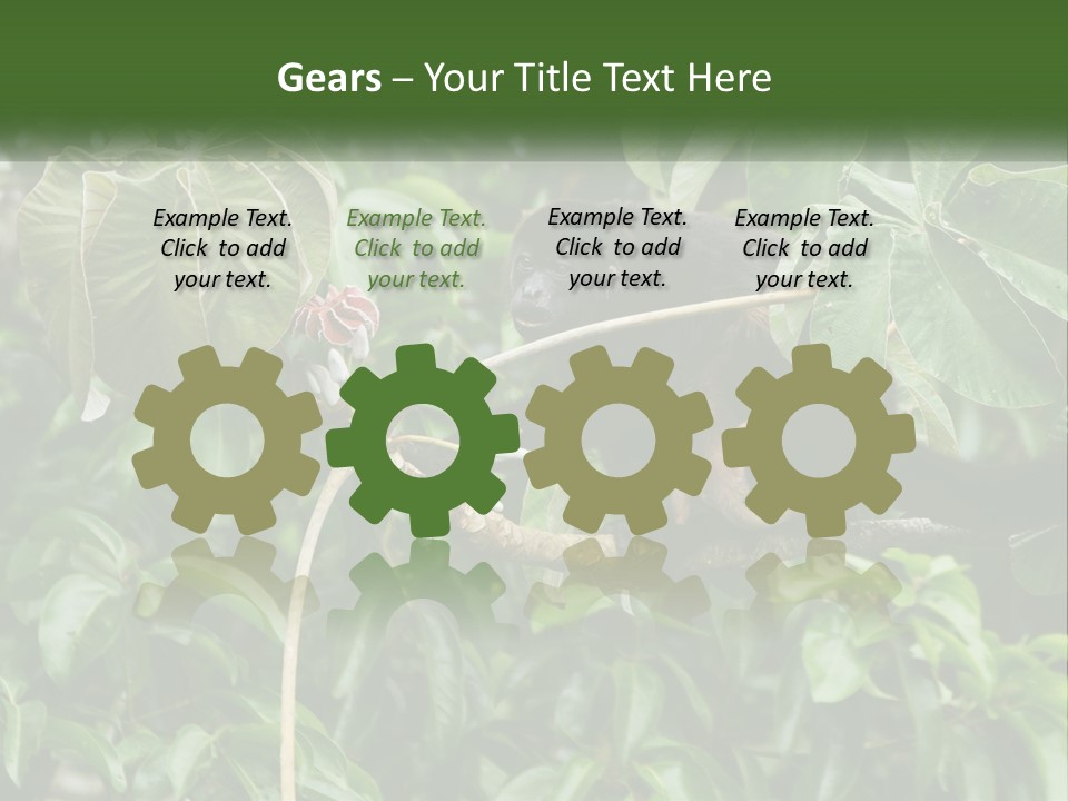 Tail Neotropics Mammal PowerPoint Template
