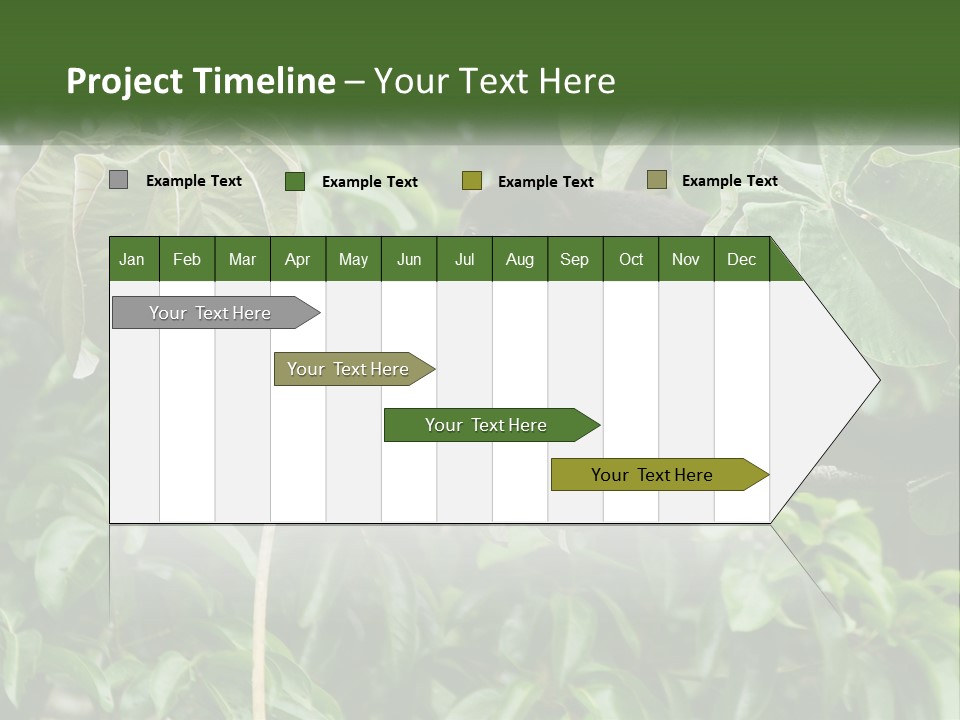 Tail Neotropics Mammal PowerPoint Template