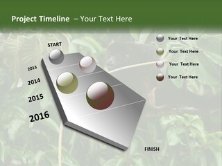 Tail Neotropics Mammal PowerPoint Template