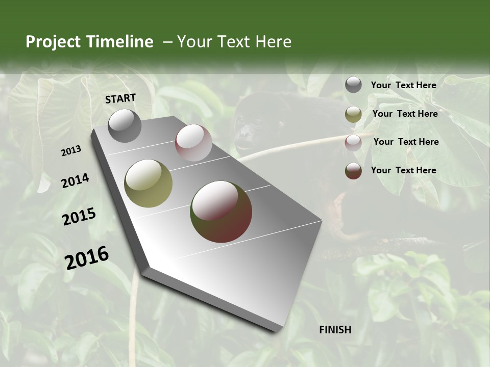 Tail Neotropics Mammal PowerPoint Template