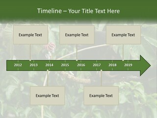 Tail Neotropics Mammal PowerPoint Template