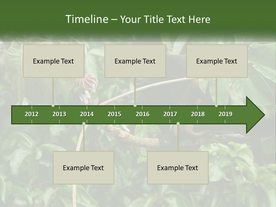 Tail Neotropics Mammal PowerPoint Template