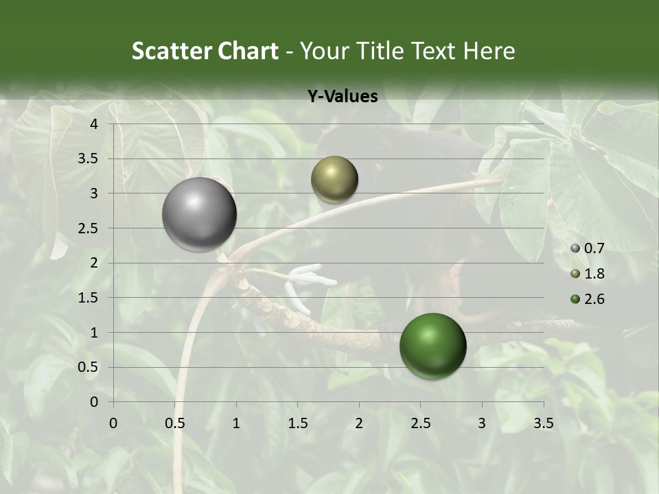Tail Neotropics Mammal PowerPoint Template