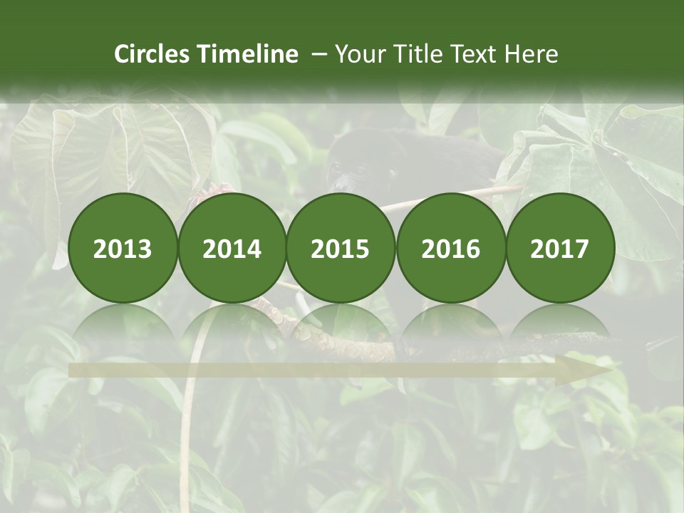 Tail Neotropics Mammal PowerPoint Template