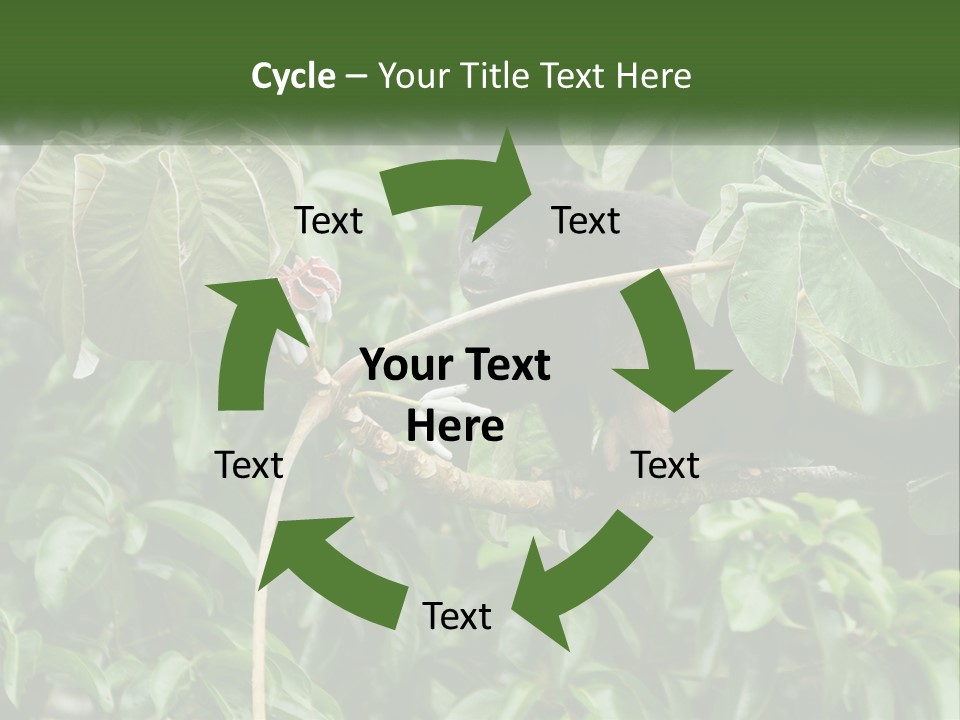 Tail Neotropics Mammal PowerPoint Template