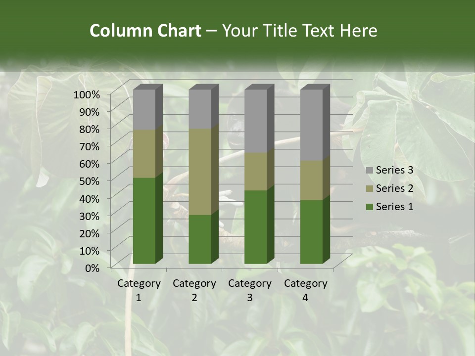 Tail Neotropics Mammal PowerPoint Template