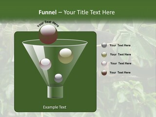 Tail Neotropics Mammal PowerPoint Template