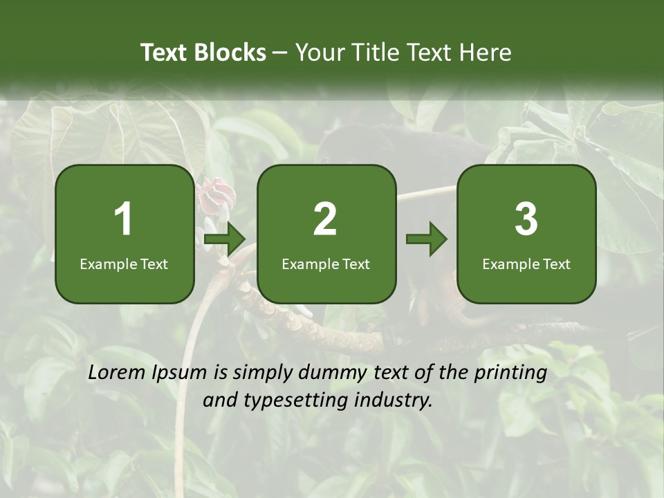 Tail Neotropics Mammal PowerPoint Template