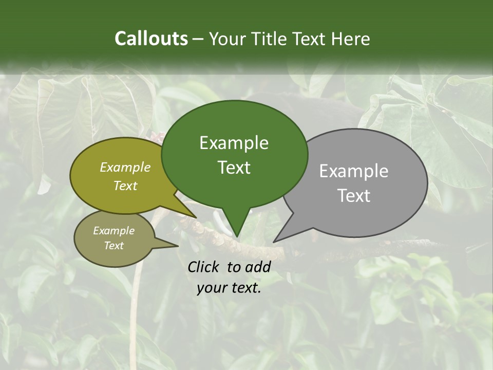 Tail Neotropics Mammal PowerPoint Template