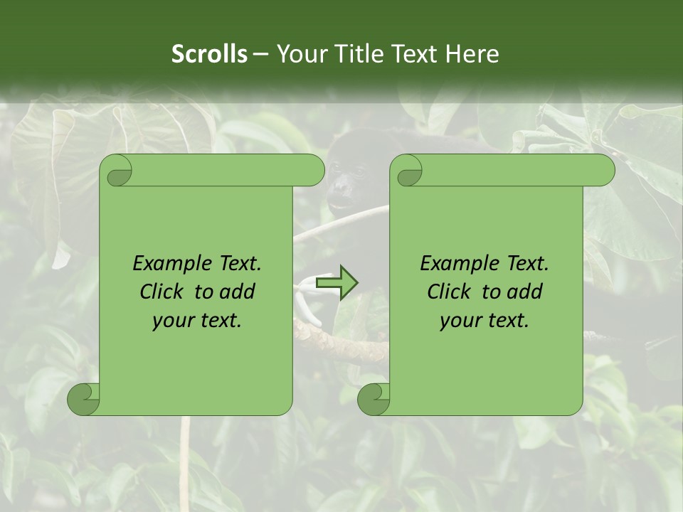 Tail Neotropics Mammal PowerPoint Template
