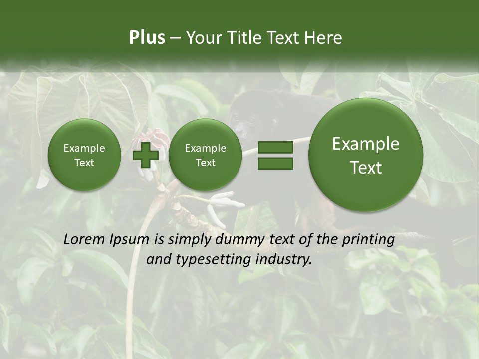 Tail Neotropics Mammal PowerPoint Template