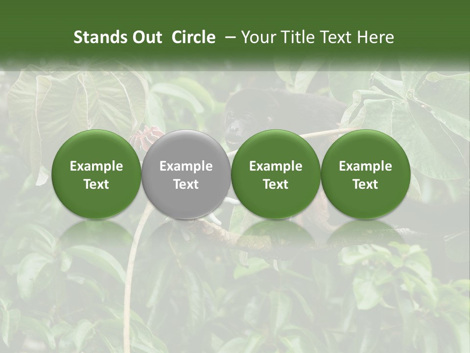 Tail Neotropics Mammal PowerPoint Template