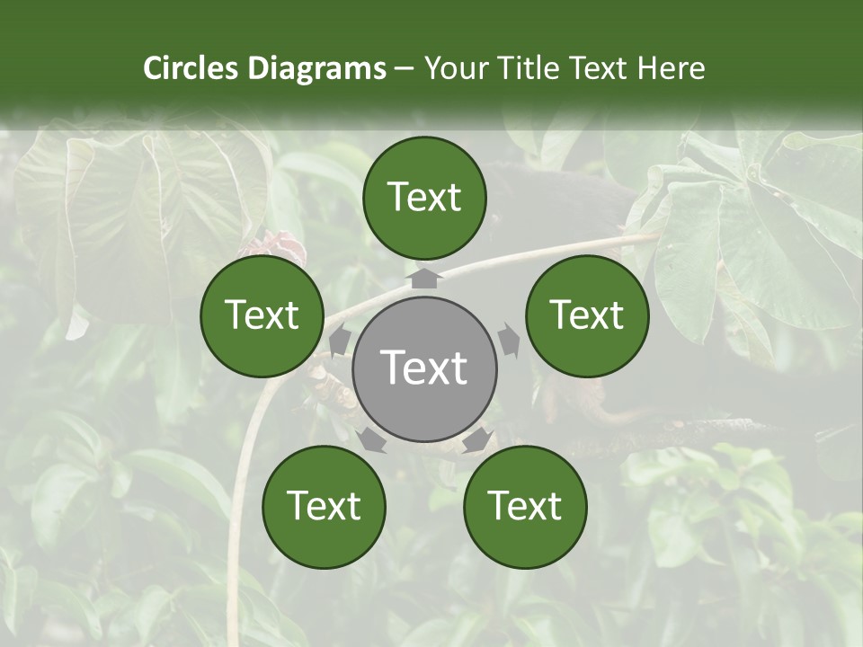 Tail Neotropics Mammal PowerPoint Template