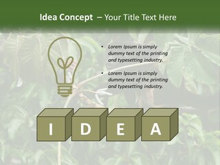 Tail Neotropics Mammal PowerPoint Template