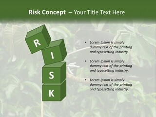 Tail Neotropics Mammal PowerPoint Template