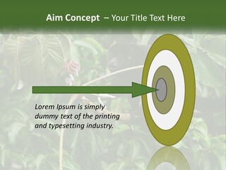 Tail Neotropics Mammal PowerPoint Template