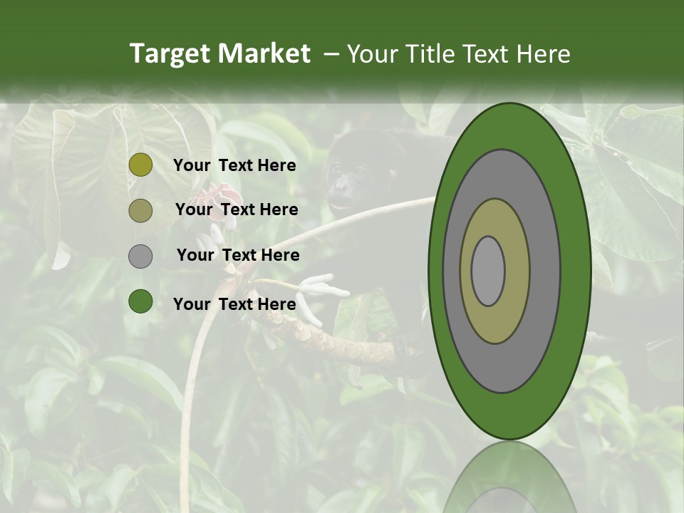 Tail Neotropics Mammal PowerPoint Template
