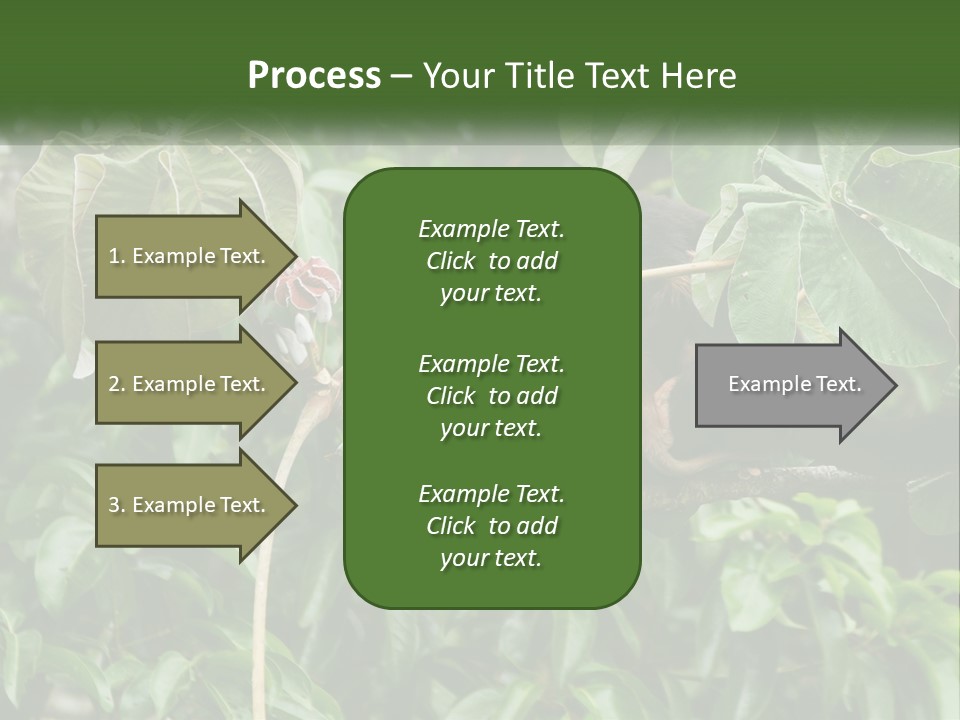 Tail Neotropics Mammal PowerPoint Template