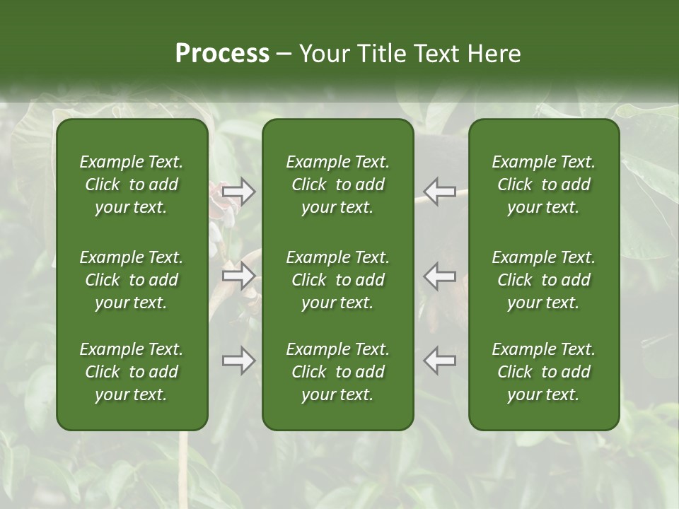 Tail Neotropics Mammal PowerPoint Template