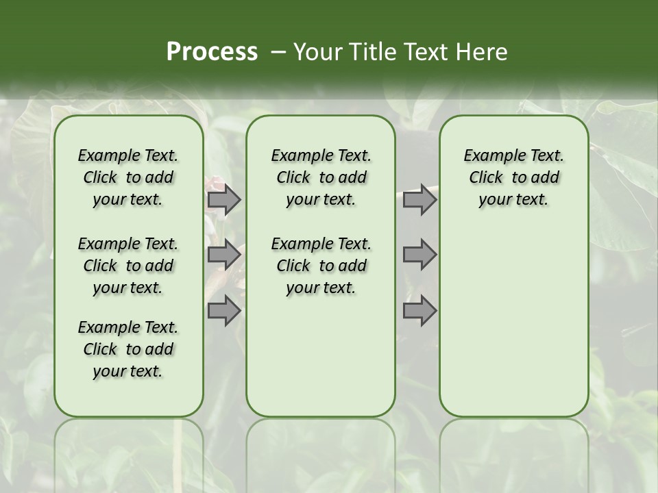 Tail Neotropics Mammal PowerPoint Template