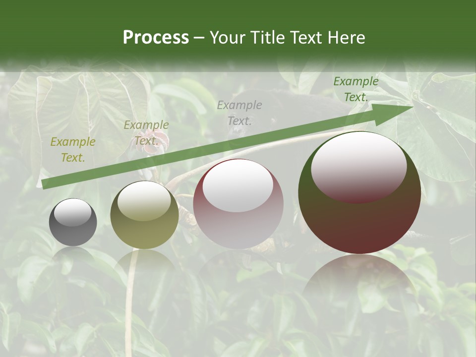 Tail Neotropics Mammal PowerPoint Template
