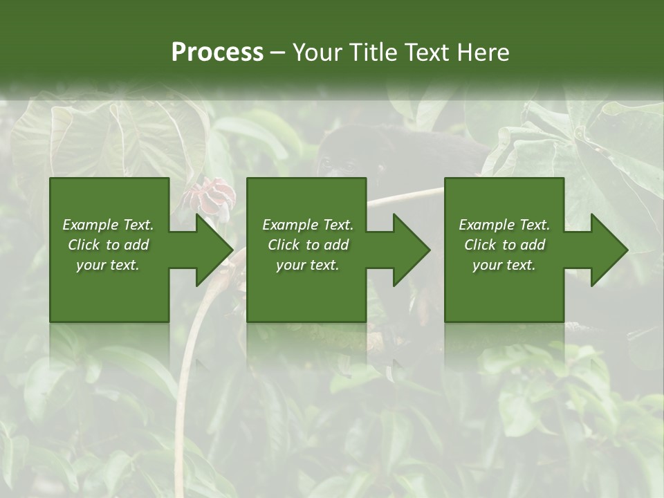 Tail Neotropics Mammal PowerPoint Template