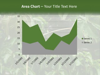 Tail Neotropics Mammal PowerPoint Template