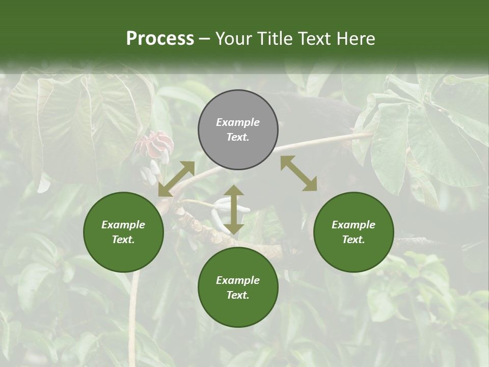 Tail Neotropics Mammal PowerPoint Template
