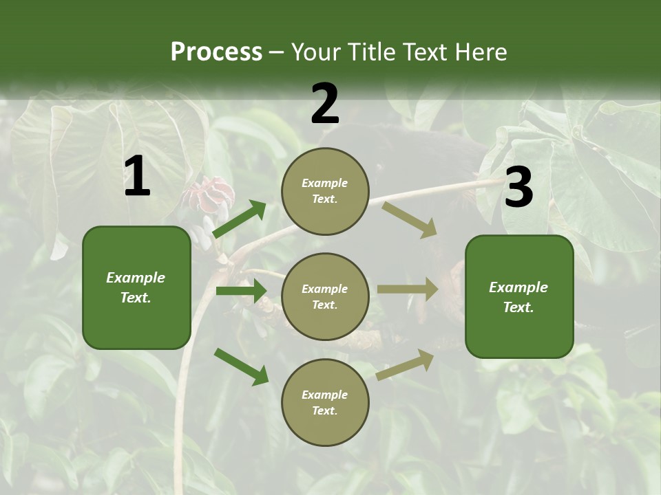 Tail Neotropics Mammal PowerPoint Template