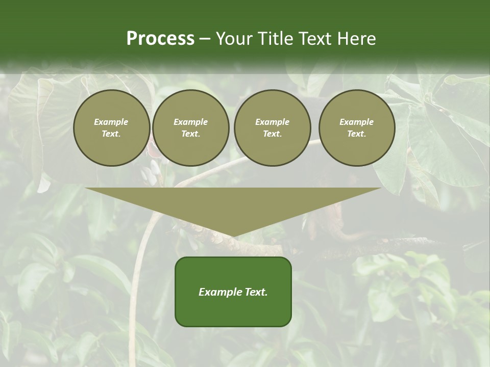 Tail Neotropics Mammal PowerPoint Template