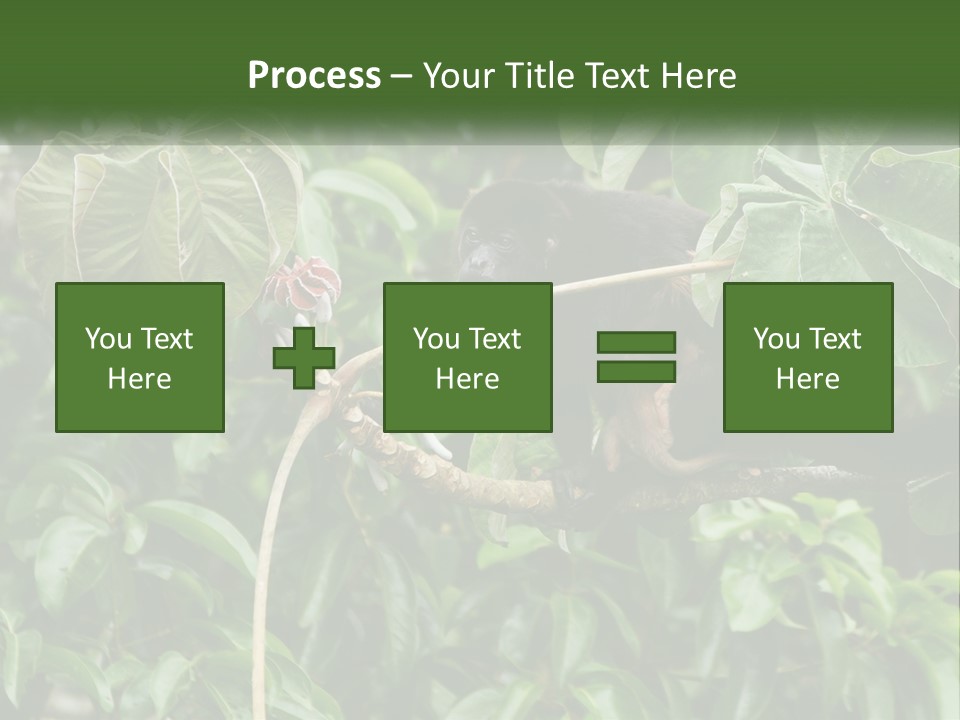 Tail Neotropics Mammal PowerPoint Template