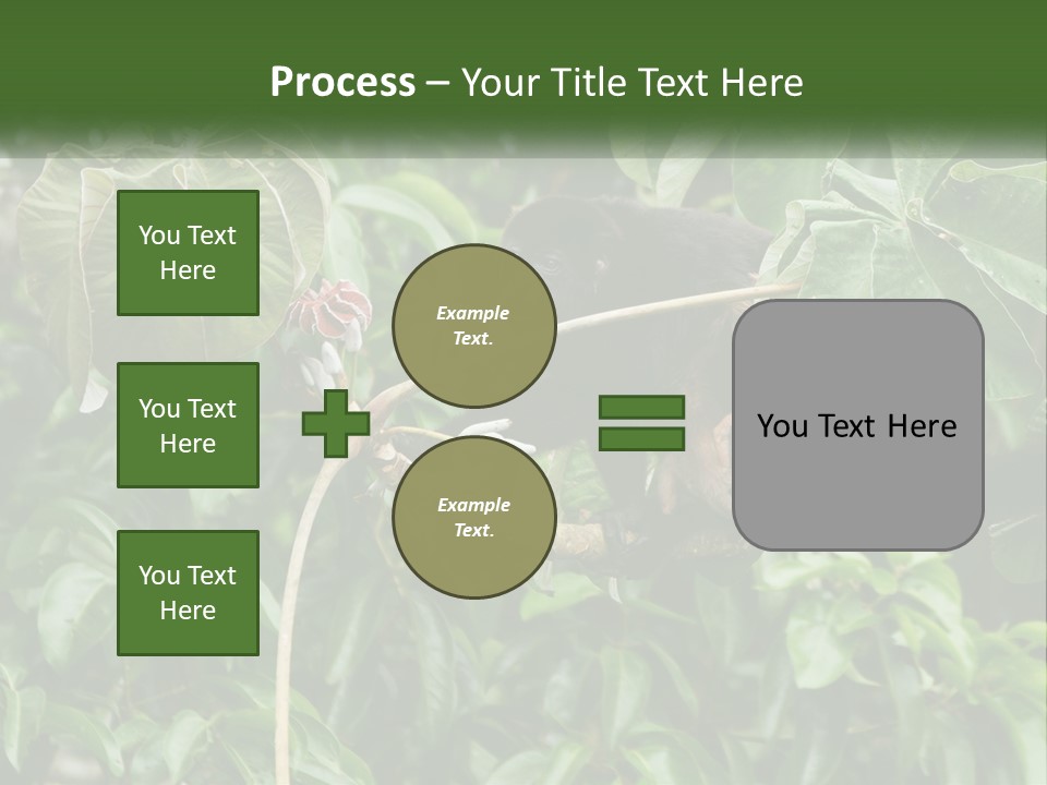 Tail Neotropics Mammal PowerPoint Template