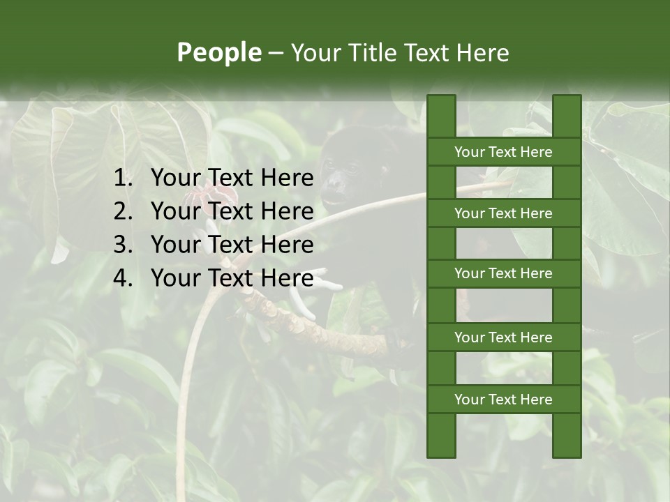 Tail Neotropics Mammal PowerPoint Template