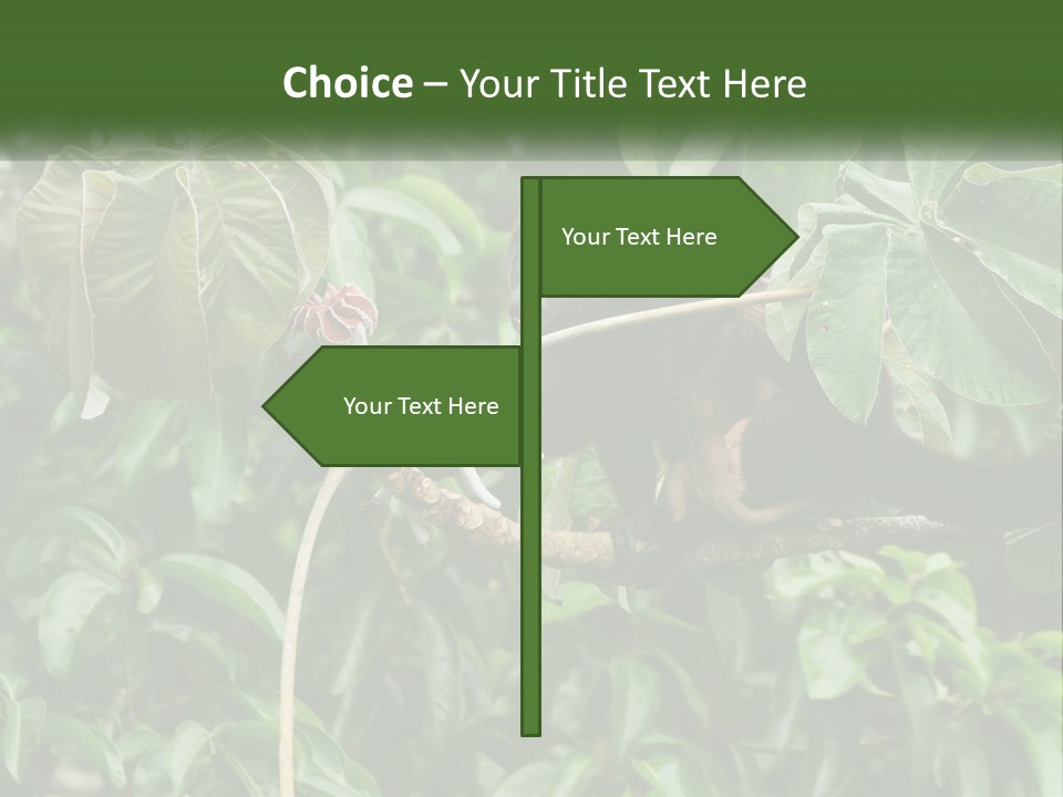 Tail Neotropics Mammal PowerPoint Template