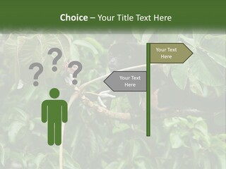 Tail Neotropics Mammal PowerPoint Template