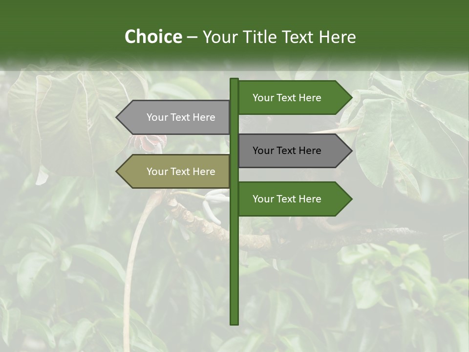 Tail Neotropics Mammal PowerPoint Template