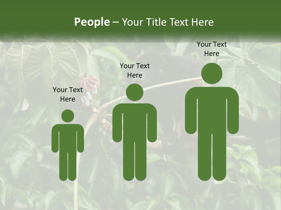 Tail Neotropics Mammal PowerPoint Template