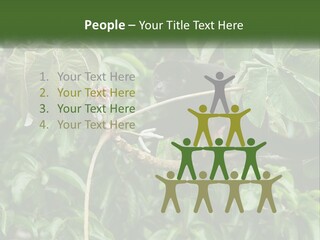Tail Neotropics Mammal PowerPoint Template